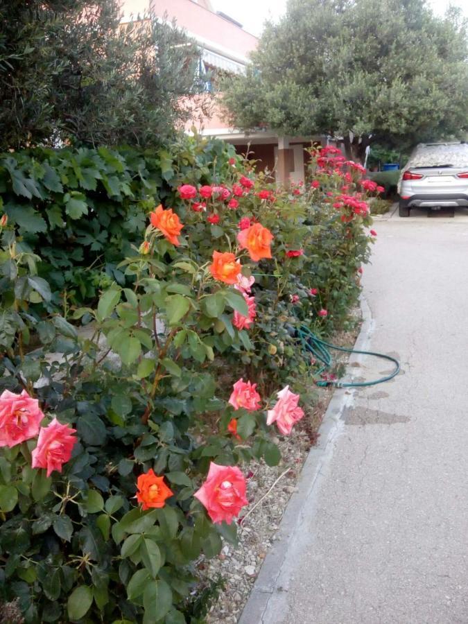 Apartman Olive 2 Zadar Eksteriør bilde